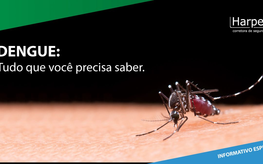 Dengue: tudo que você precisa saber diante da epidemia atual
